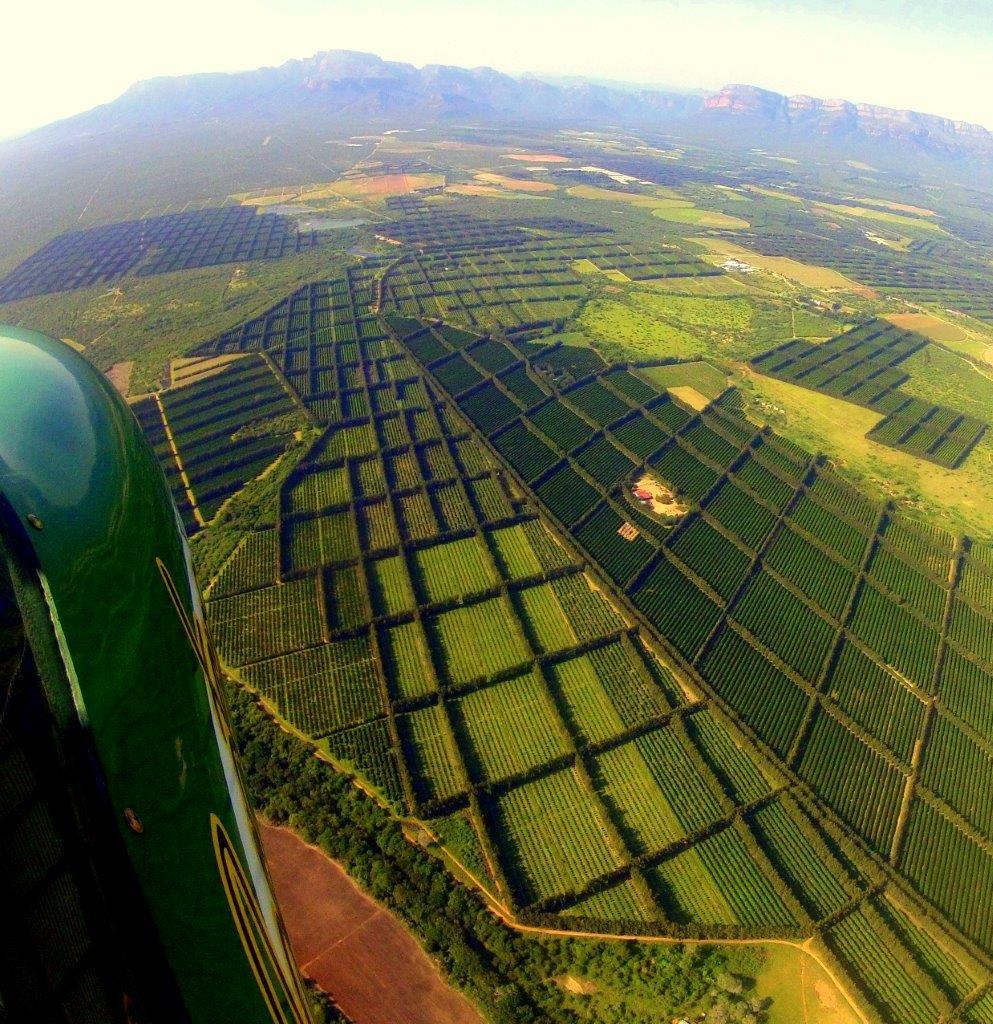 lowveld aeroplane flights